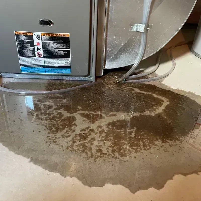 Appliance Leak Cleanup in Fox Lake Hills, IL